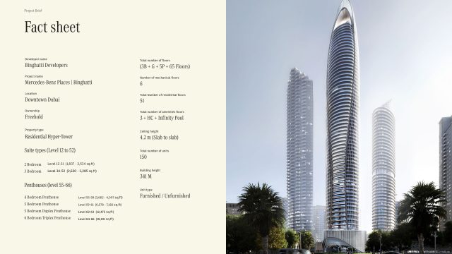 Mercedes-Project-Facts_page-0002